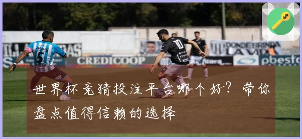 世界杯竞猜投注平台哪个好？带你盘点值得信赖的选择
